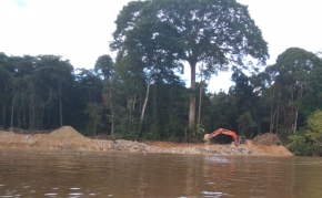 A Papaichton, un cimetière investi par les orpailleurs illégaux