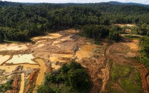 Orpaillage légal : restaurer les sols, un défi encore difficile en Guyane