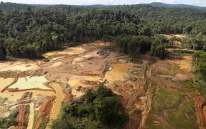 Orpaillage illégal : l’État face à une accusation de « carence fautive » devant le tribunal administratif