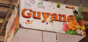 Salon de l’agriculture : une vitrine nationale "sans" la Guyane