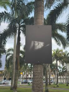 "Pour que la Femme demeure" : une exposition photo poignante au cœur de Cayenne