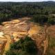 Orpaillage légal : restaurer les sols, un défi encore difficile en Guyane