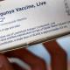 La vaccination pour anticiper une nouvelle épidémie de chikungunya en Guyane